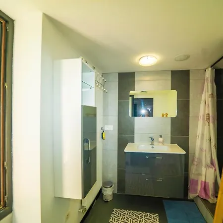 Loft Convivial- Wi-fi - Cour & Piscine Διαμέρισμα Hartmannswiller